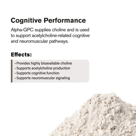 300mg Alpha-GPC Powder - Thumbnail 5