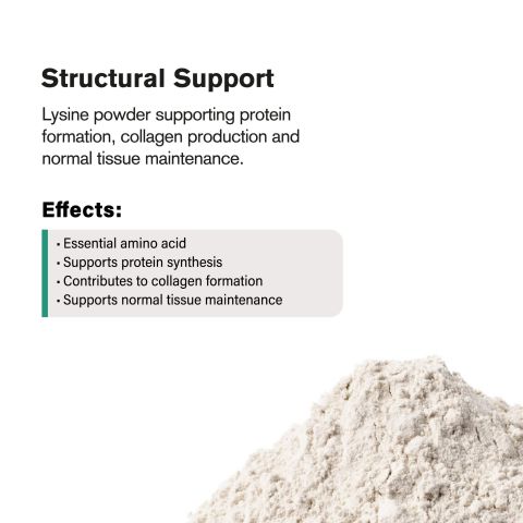 1,000mg L-Lysine Powder - Thumbnail 5