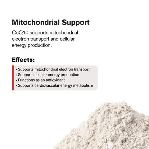100mg CoQ10 Powder - Thumbnail 5