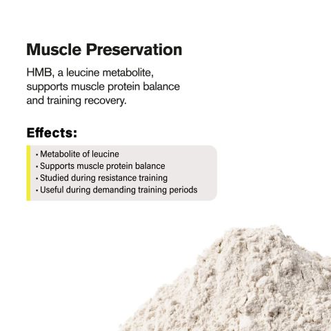 1,000mg HMB Powder - Thumbnail 5